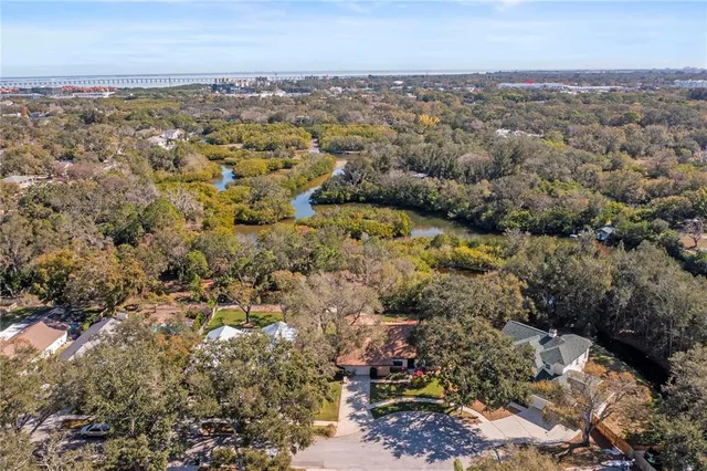 a view of a forest from a balcony