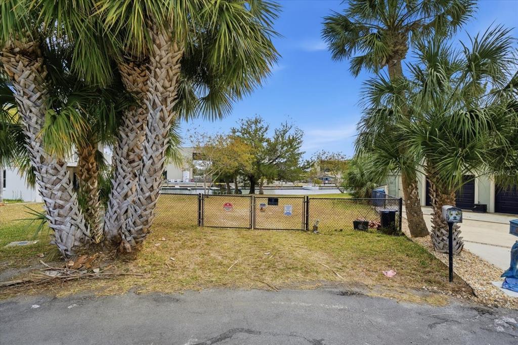 4064 Casa Court Hernando Beach, FL 34607 - Photo 23 of 32 a view of a yard with palm trees