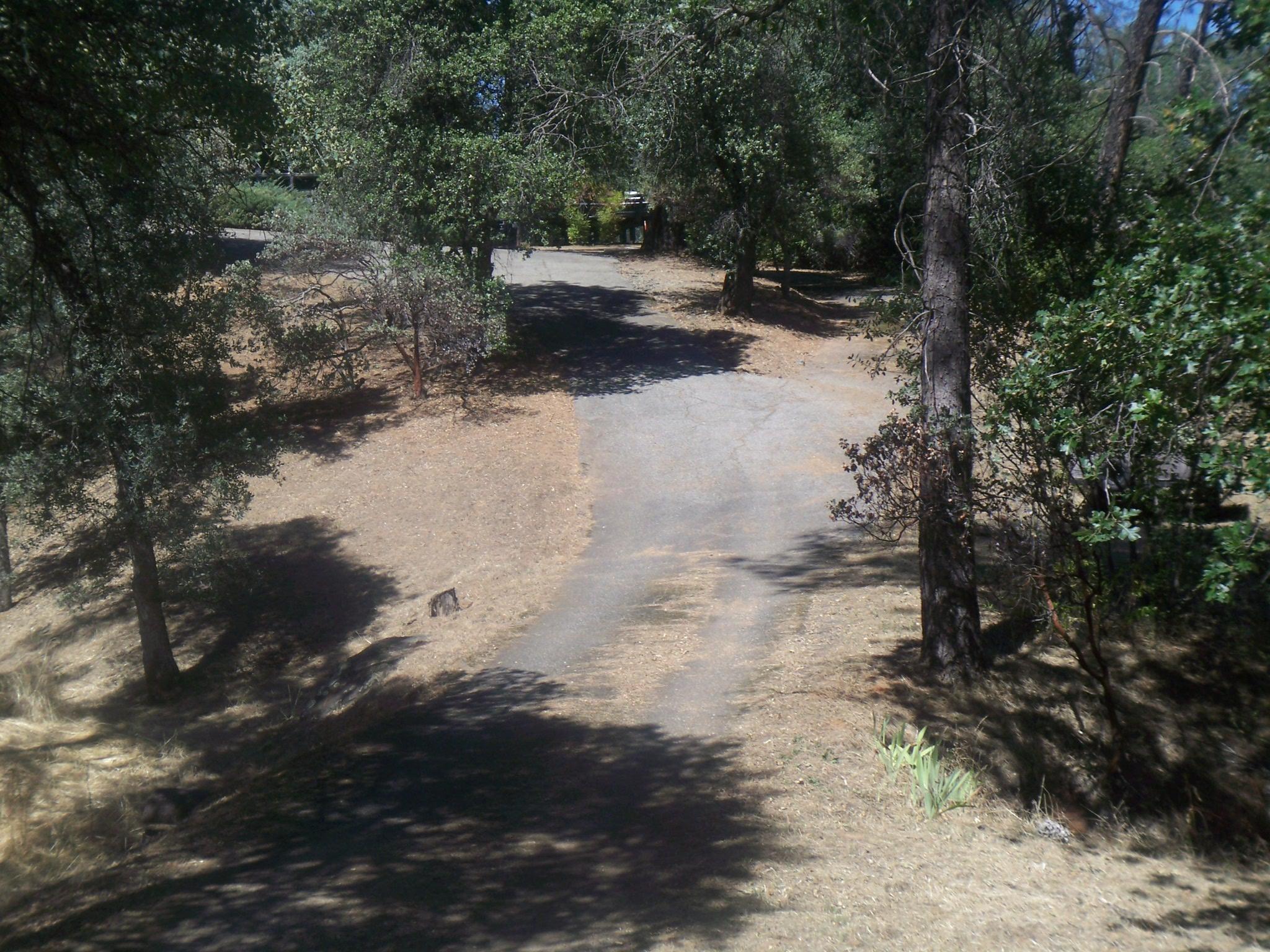 17896 Sutton Road Redding, CA 96003 - Photo 4 of 39 000_1826