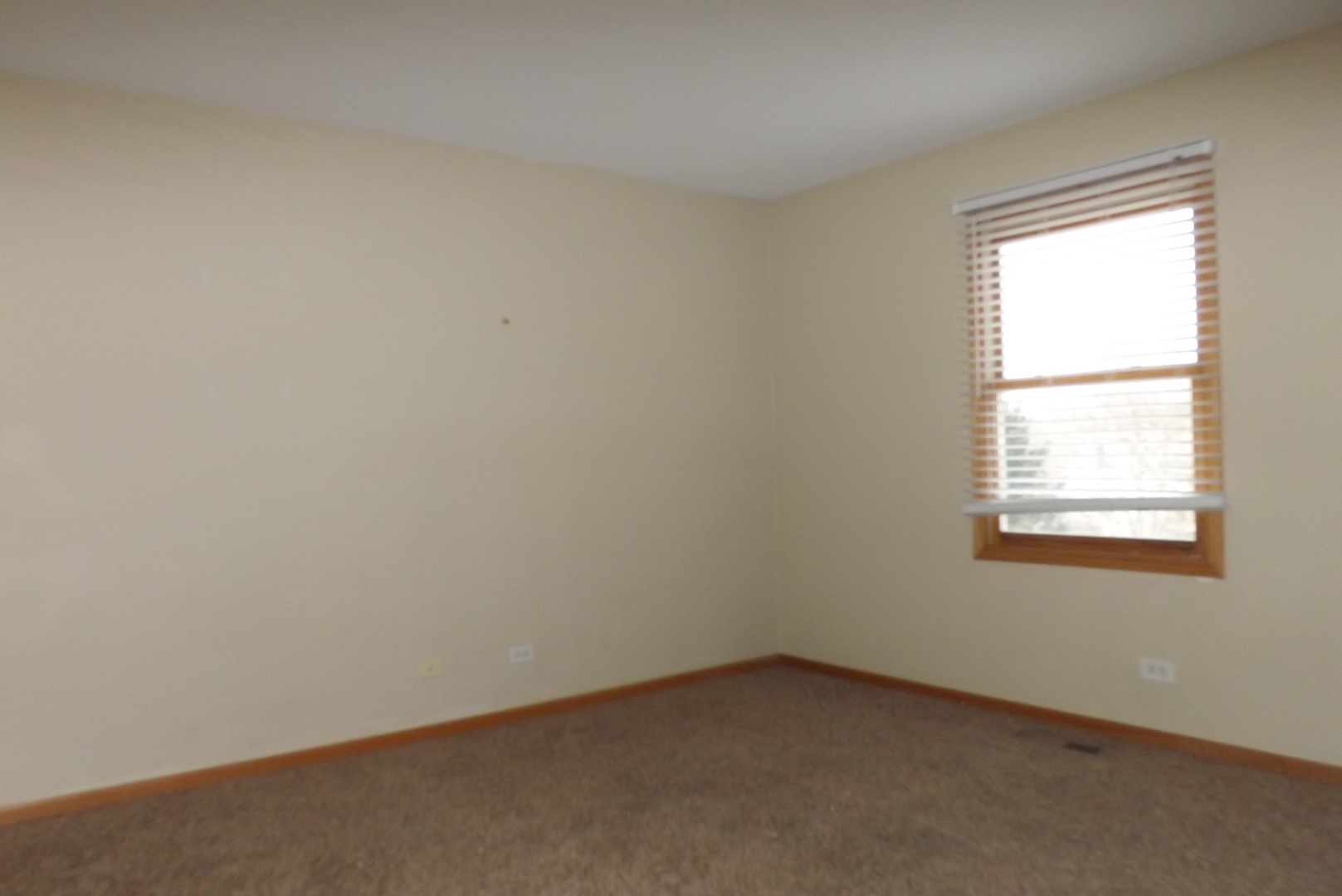 862 Ridge Drive Elburn, IL 60119 - Photo 12 of 15
