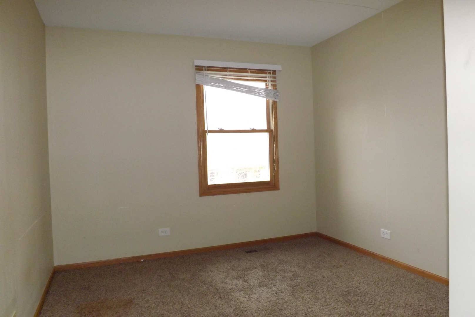 862 Ridge Drive Elburn, IL 60119 - Photo 15 of 15