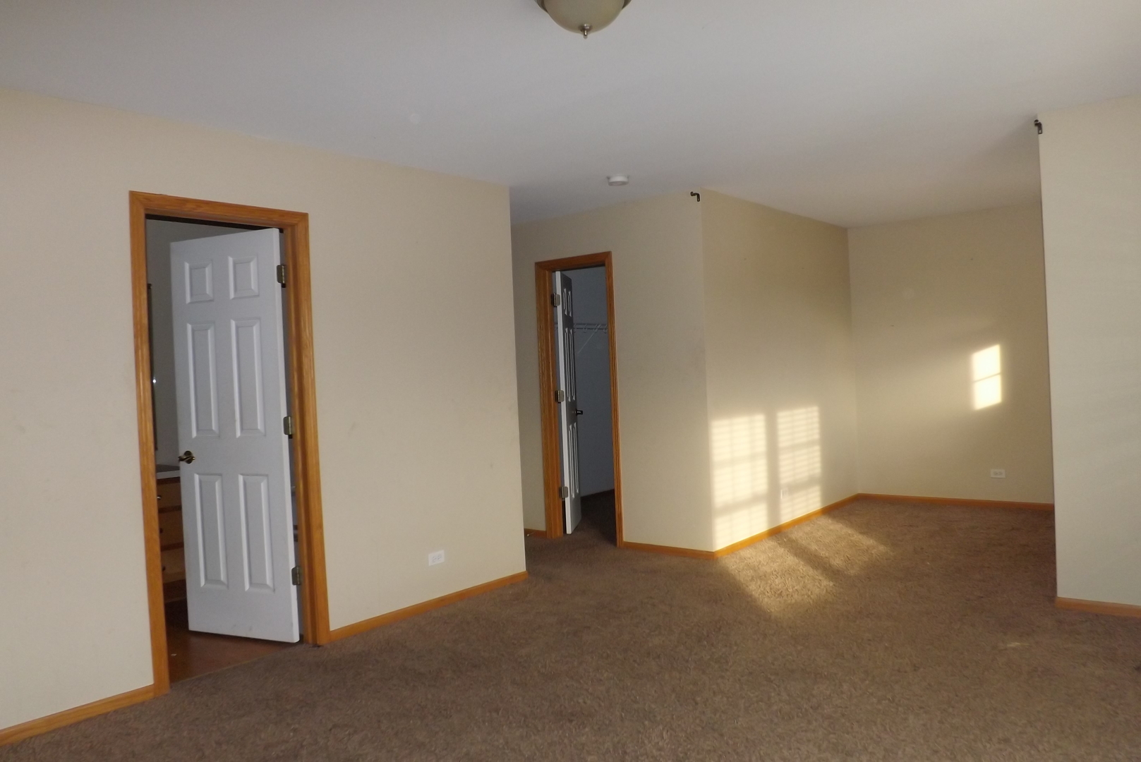 862 Ridge Drive Elburn, IL 60119 - Photo 10 of 15