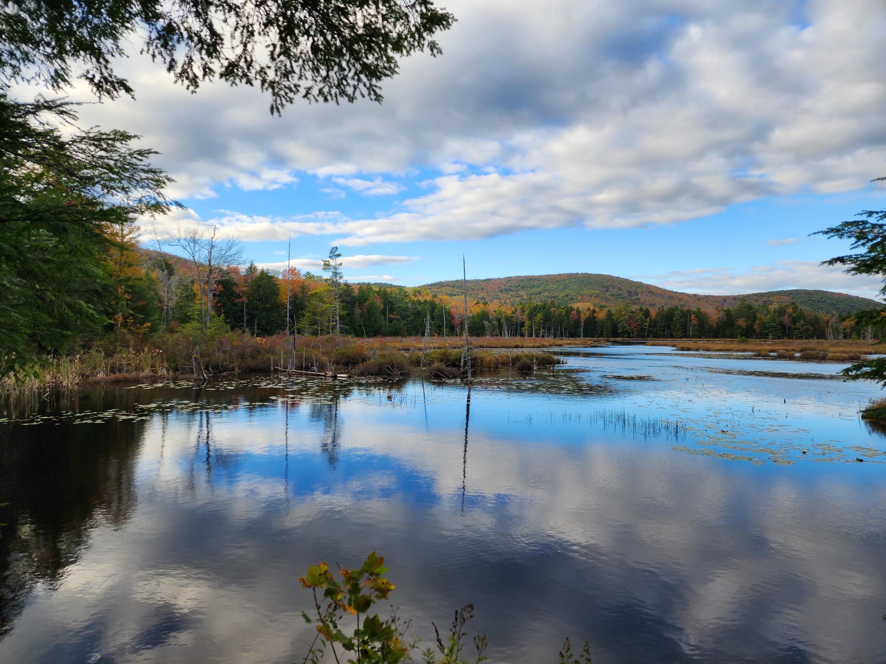 104 Drake Pond Road Jackson, ME 04921 - Photo 26 of 31 20231014_162511