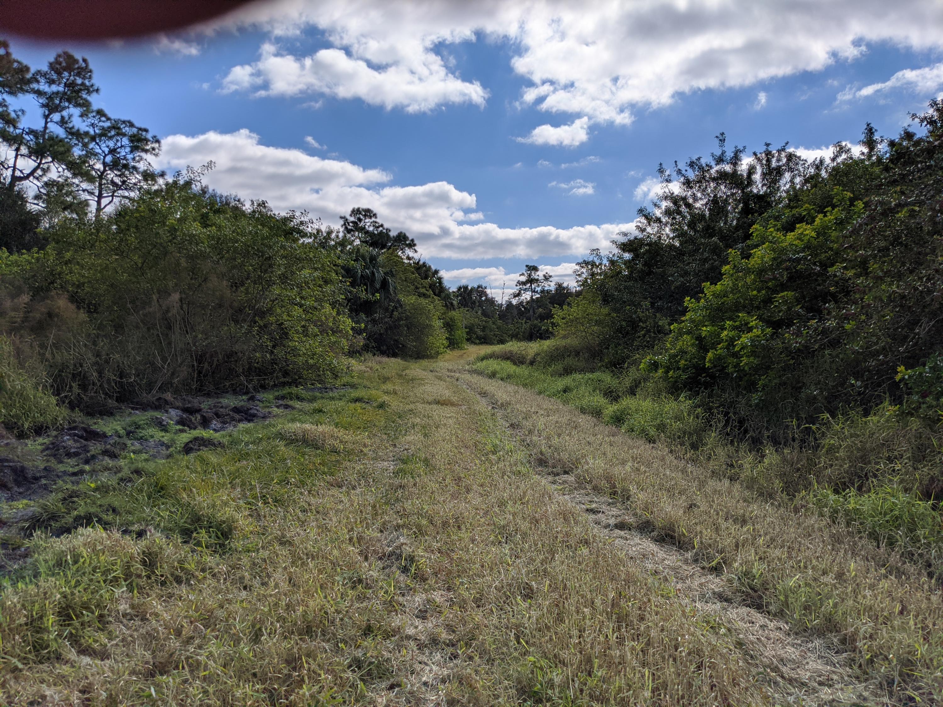 7851 Southwest Fox Brown Road Indiantown, FL 34956 - Photo 37 of 67 IMG_20210109_113915