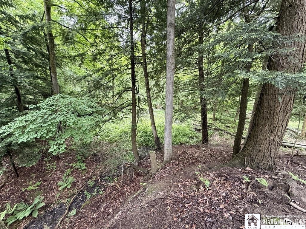 0 Luce Road Bemus Point, NY 14712 - Photo 20 of 39