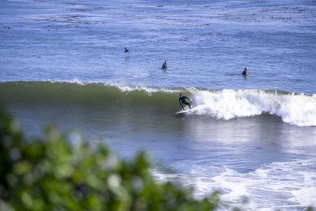 $1,998,000 | 1610 Bulb Avenue, Santa Cruz, CA 95062