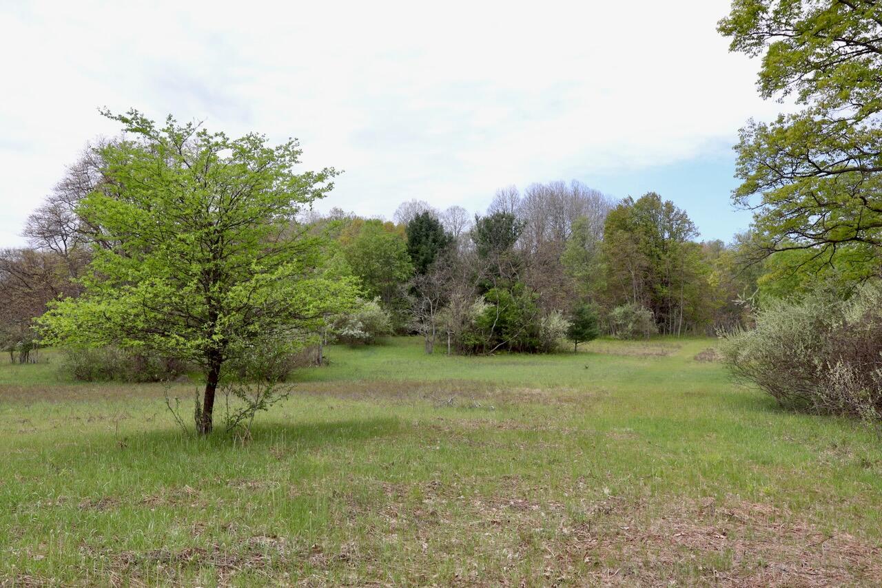 6153 South Branch Road Branch, MI 49402 - Photo 8 of 70 7