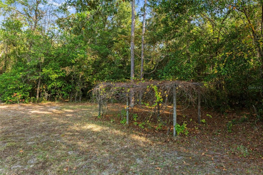 27 Beverly Court Homosassa, FL 34446 - Photo 37 of 42