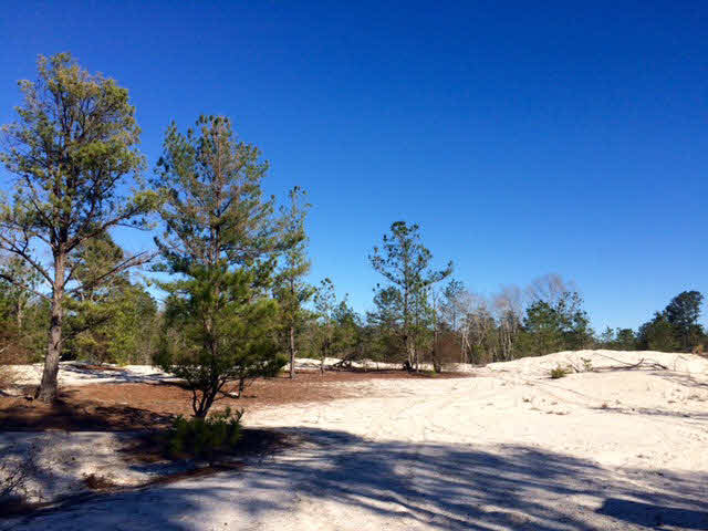 20932 Earl Phillips Road Little River, AL 36550 - Photo 7 of 17