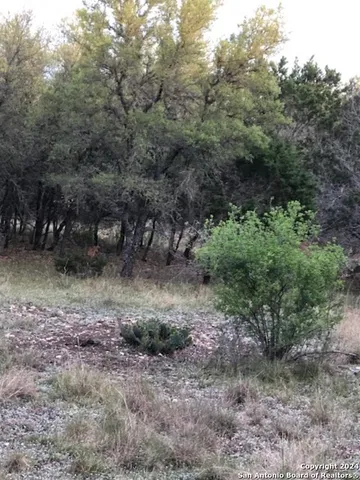 $57,950 | 40-ef White Tail Run, Uvalde, TX 78801