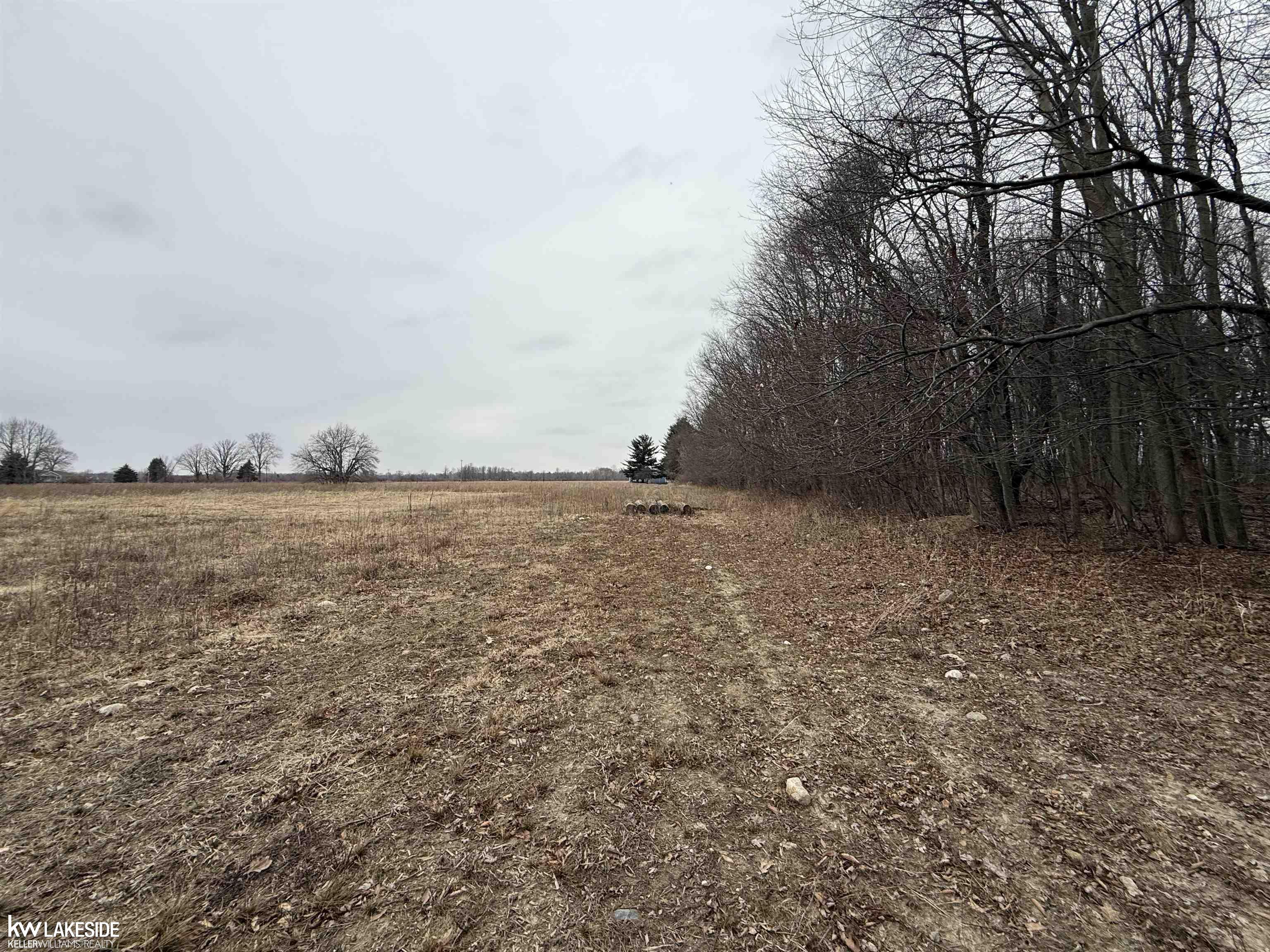 0 Cove Road Goodells, MI 48027 - Photo 9 of 25