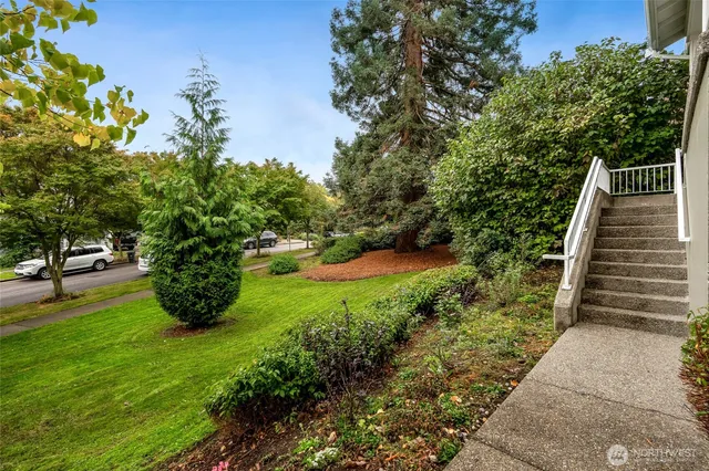 a view of a garden with plants and a garden