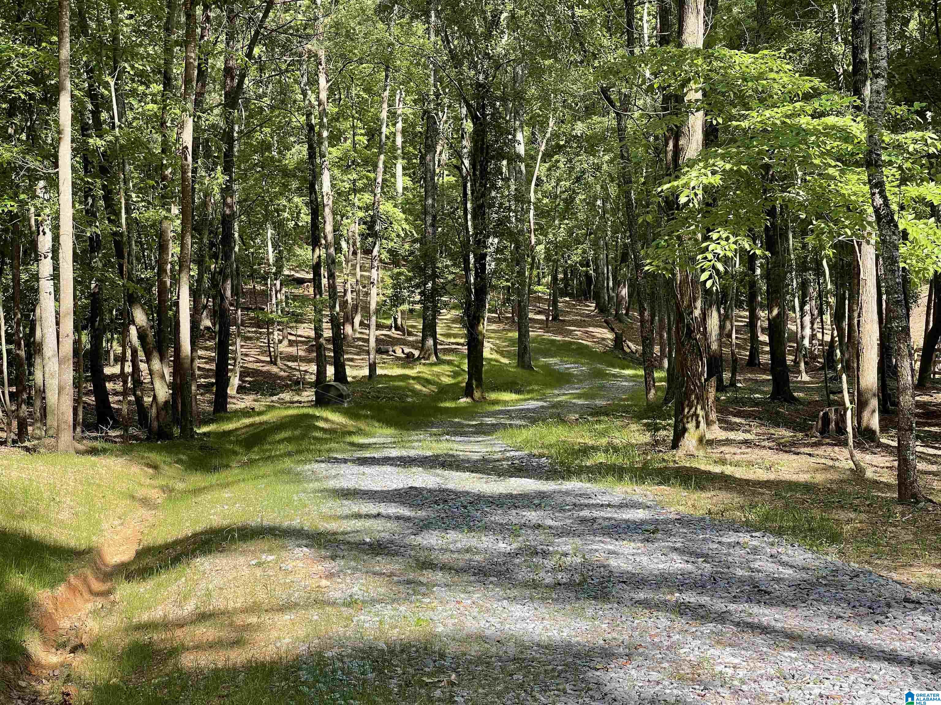 84 Rustic Drive, Unit 2 Harpersville, AL 35078 - Photo 7 of 23