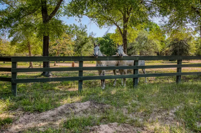 $4,199,999 | 6925 South Sycamore Crossing Road, Bellville, TX 77418