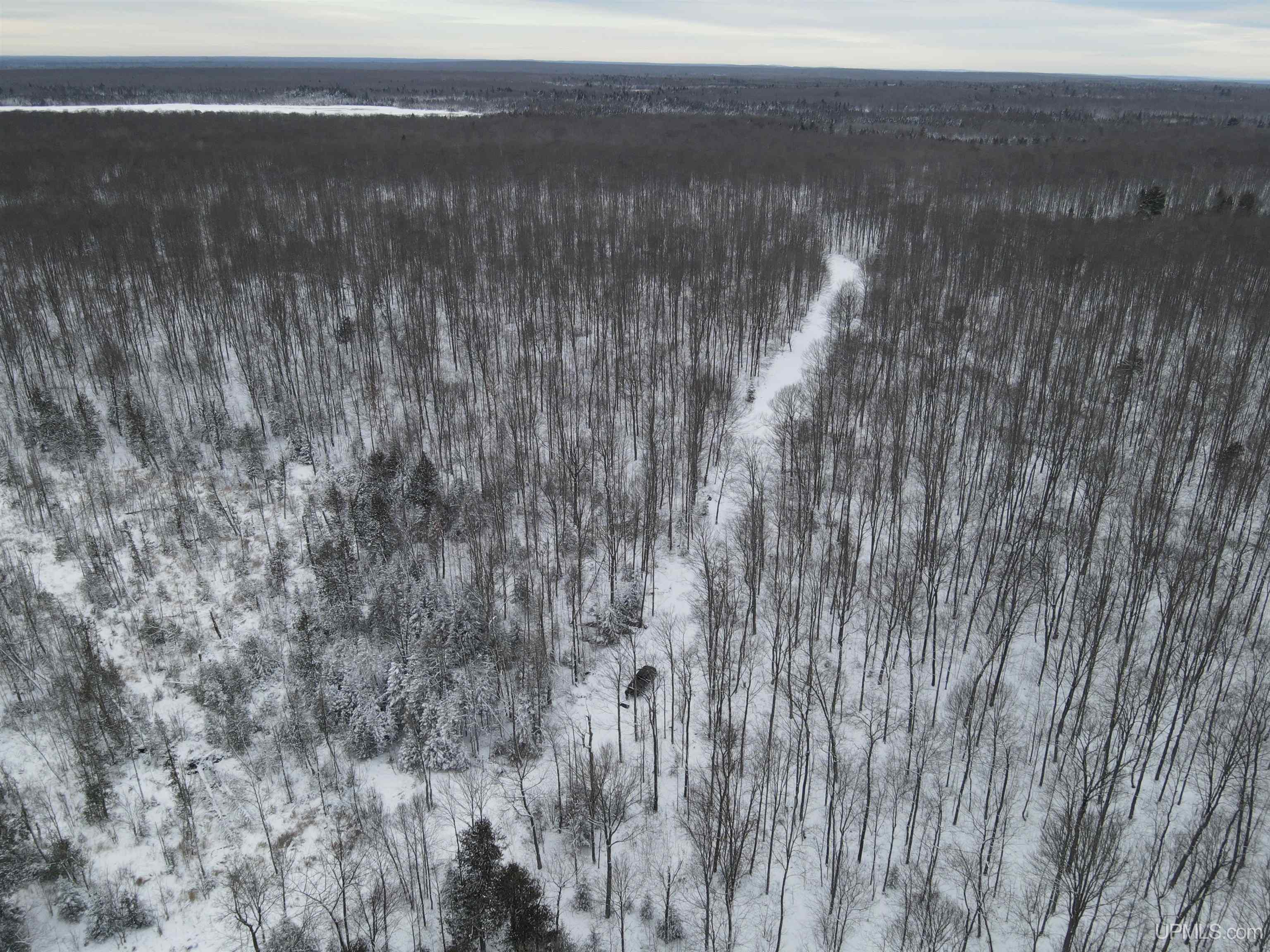 80-acr 80-acr Ford Road Watton, MI 49970 - Photo 9 of 17