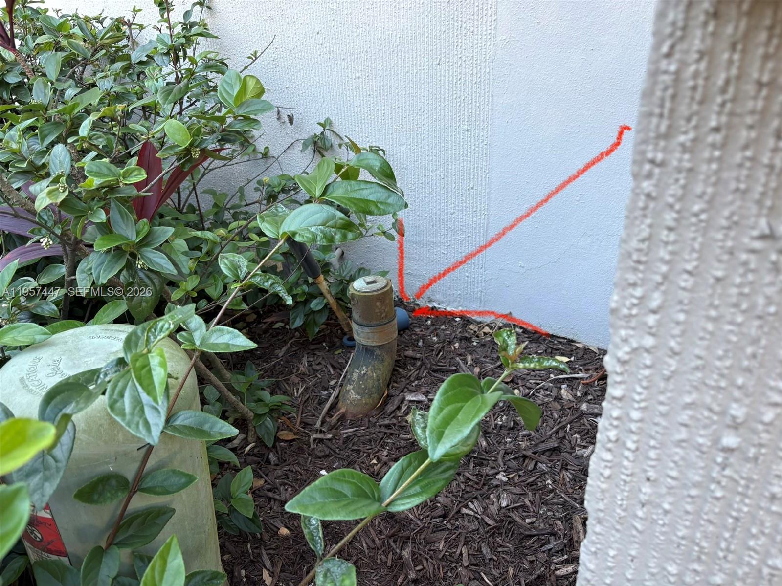 6600 Cypress Road, Unit 203 Plantation, FL 33317 - Photo 12 of 12 a plant that is sitting in the garden