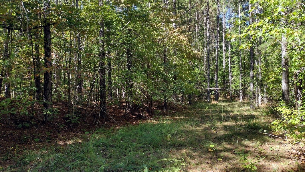 Lot 3 Talley Bridge Road Cleveland, SC 29635 - Photo 1 of 6 Gallery Image 1