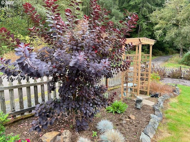 13520 Ekroth Road Bay City, OR 97107 - Photo 32 of 32 Gallery Image 32