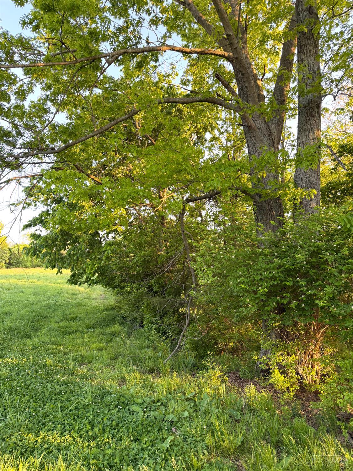 0 Maynard Road Ripley, OH 45167 - Photo 18 of 99