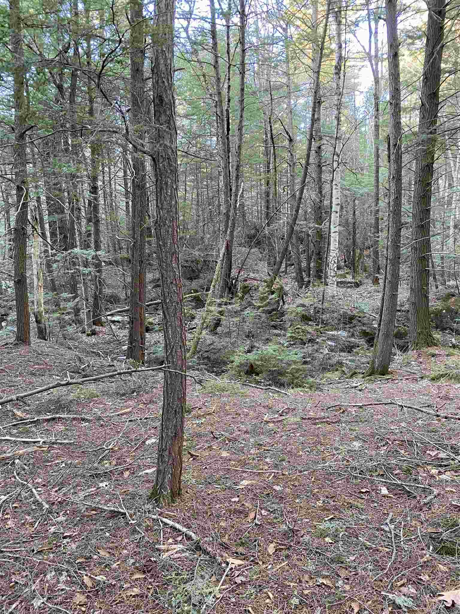 109 East Washington Road Washington, NH 03280 - Photo 1 of 6