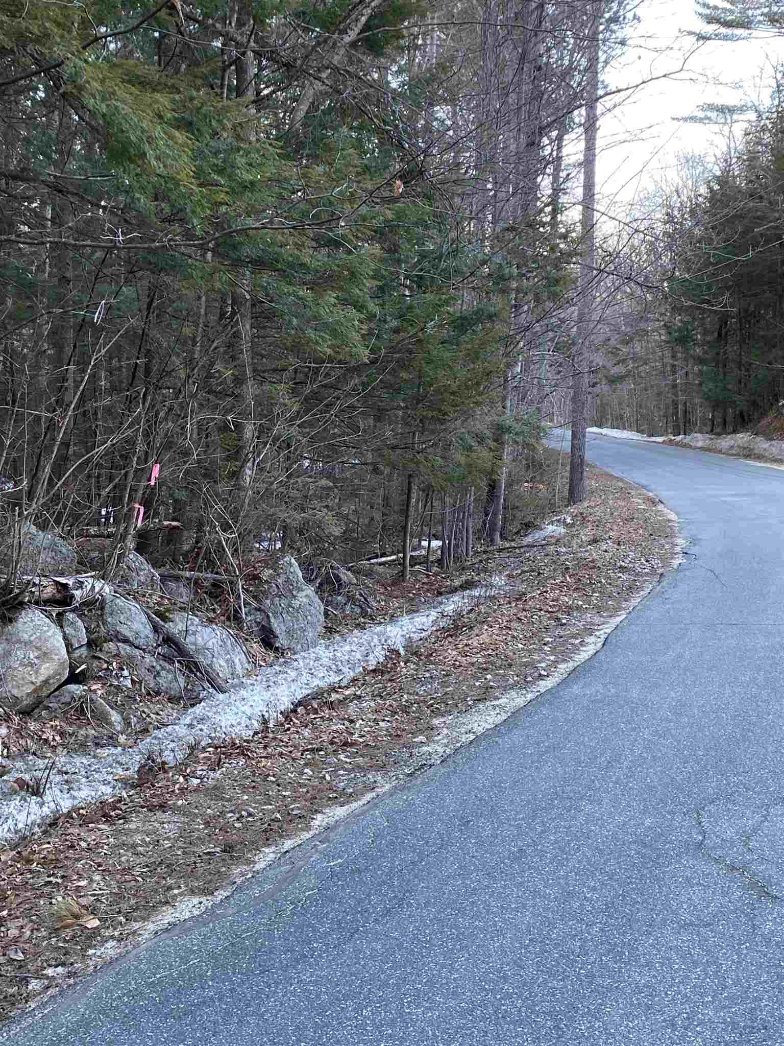 109 East Washington Road Washington, NH 03280 - Photo 3 of 6