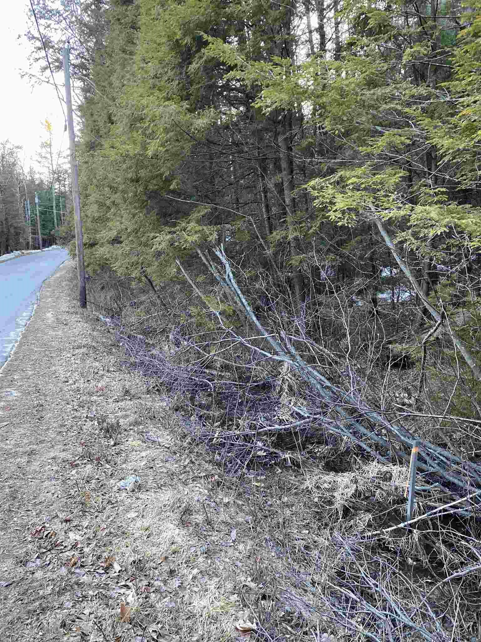 109 East Washington Road Washington, NH 03280 - Photo 4 of 6