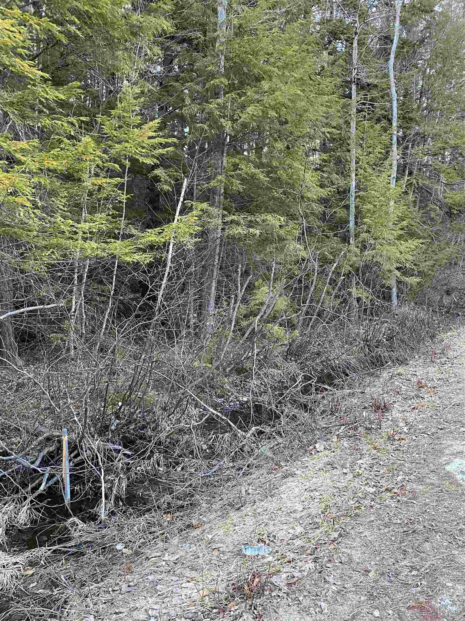 109 East Washington Road Washington, NH 03280 - Photo 5 of 6