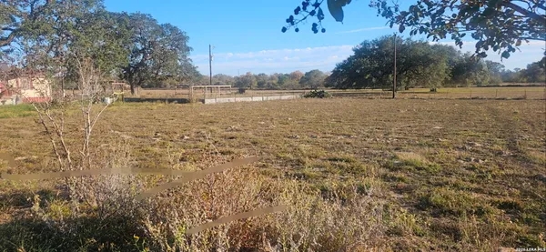 a view of yard covered with trees