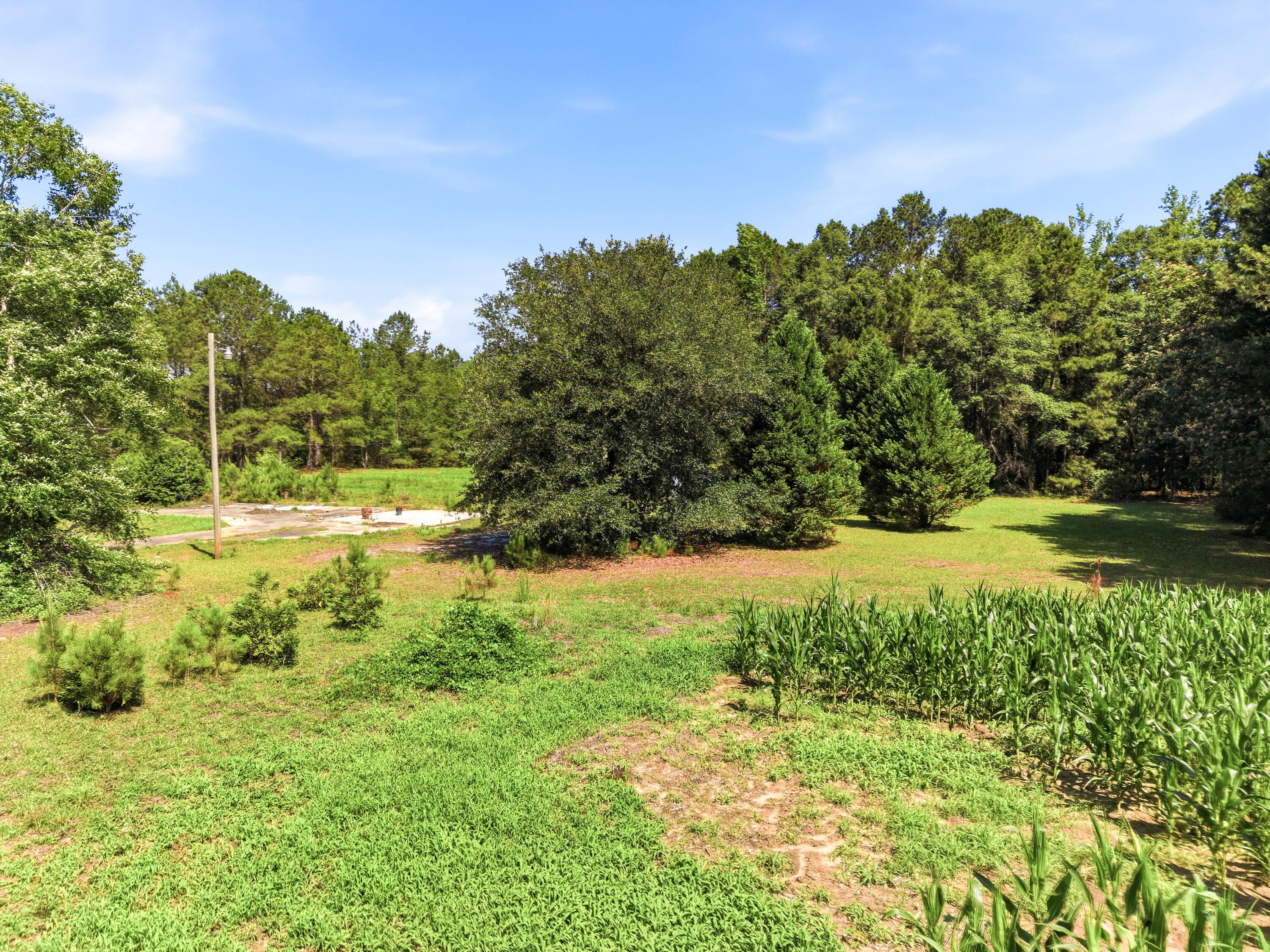 2023 Joseph Lemon And Dingle Road Manning, SC 29102 - Photo 21 of 21 21-2023-20