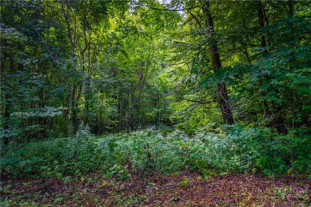 Lot 13 Hemlock Ridge Road Blowing Rock, NC 28605 - Photo 9 of 16 Gallery Image 9