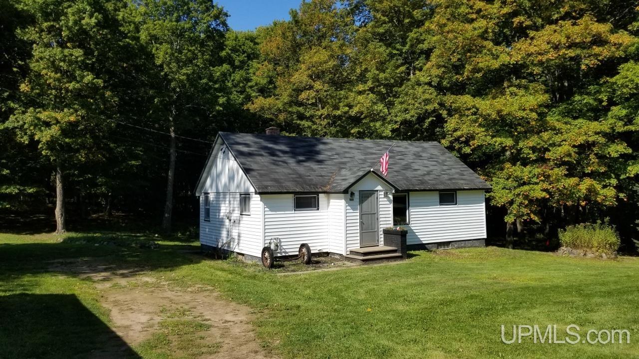 217 Reiman Road Iron River, MI 49935 - Photo 3 of 76
