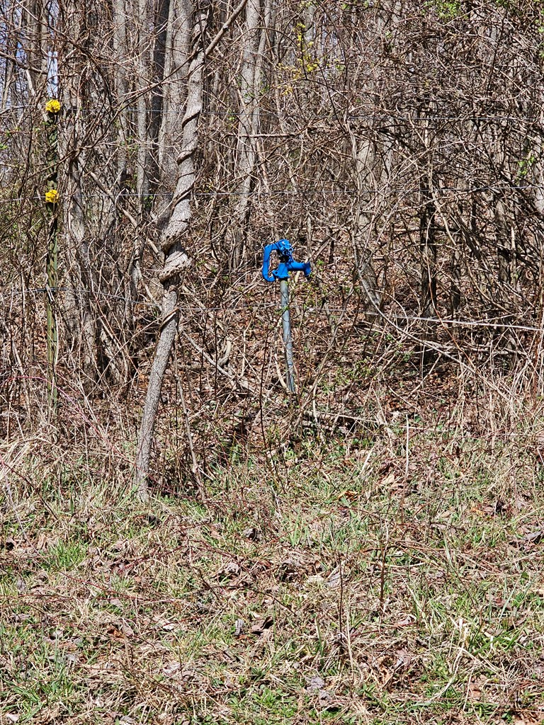 0 Tranquil Road, Unit 58A North Tazewell, VA 24630 - Photo 10 of 15 Gallery Image 10