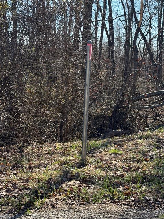 0 Twp Rd 419 Nr Bessemer Smithfield, PA 15478 - Photo 10 of 10