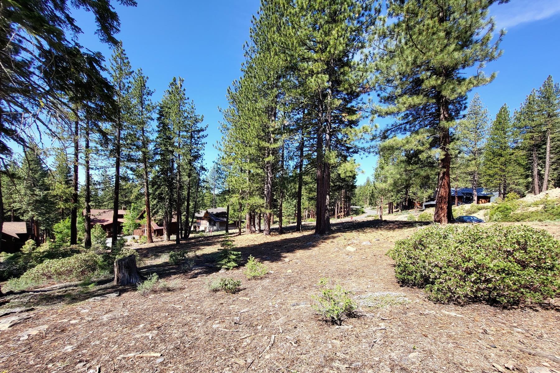 11657 China Camp Road Truckee, CA 96161 - Photo 3 of 3 Gallery Image 3