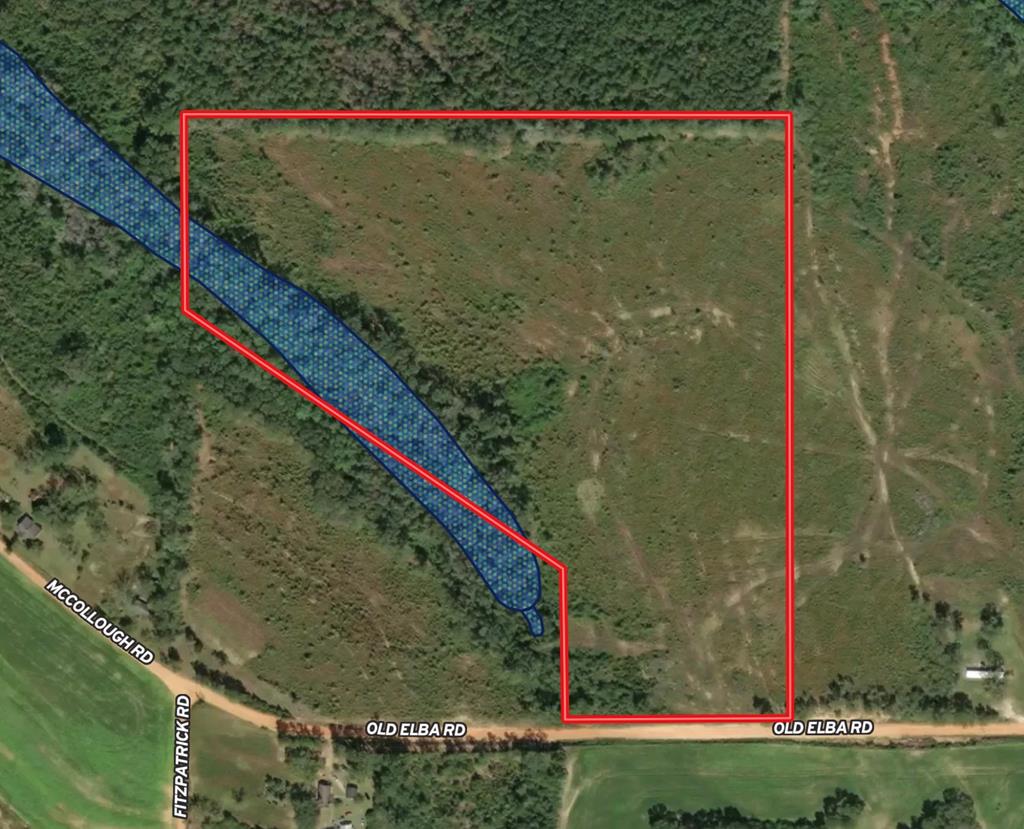 30-ac West Old Elba Road Coffee Springs, AL 36318 - Photo 13 of 19