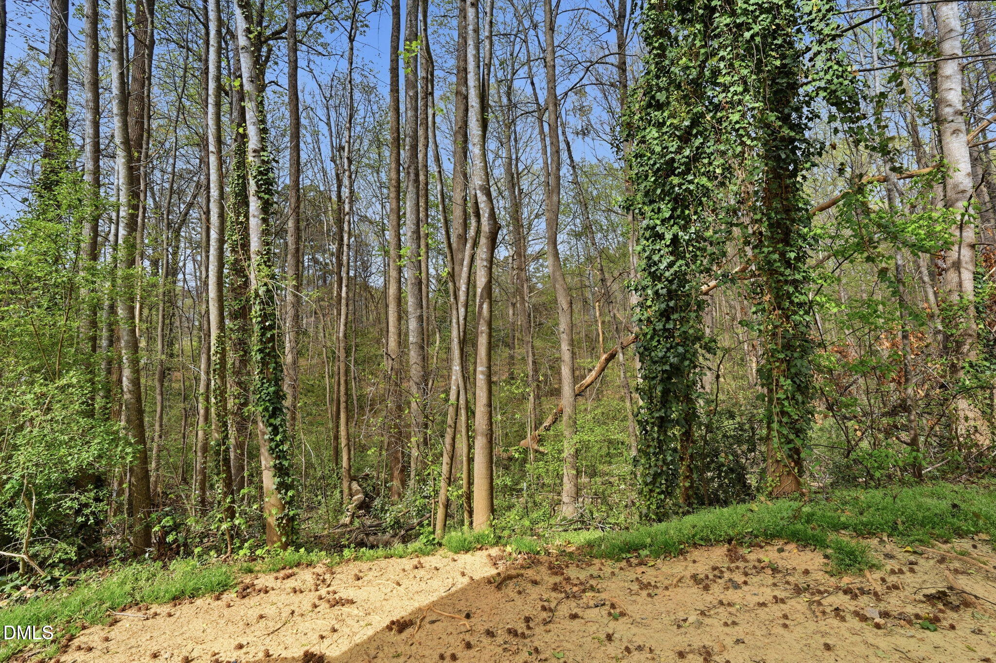 2826 Herndon Village Way Raleigh, NC 27610 - Photo 26 of 32 a view of a backyard of the house