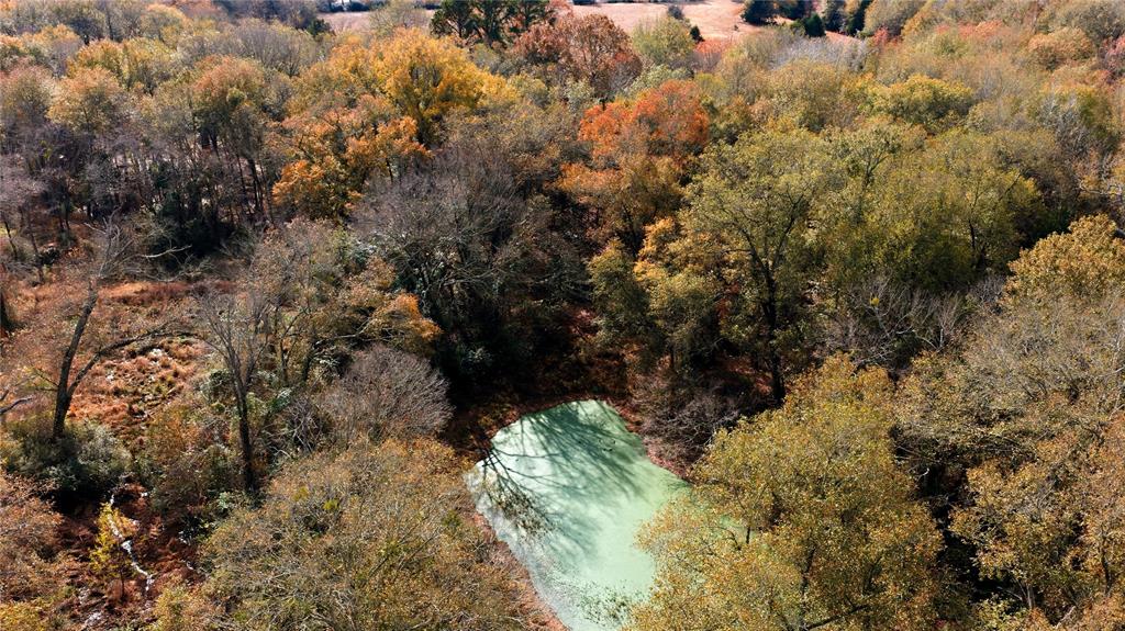 12637 Highway 19 Athens, TX 75752 - Photo 24 of 28 a view of a forest with trees