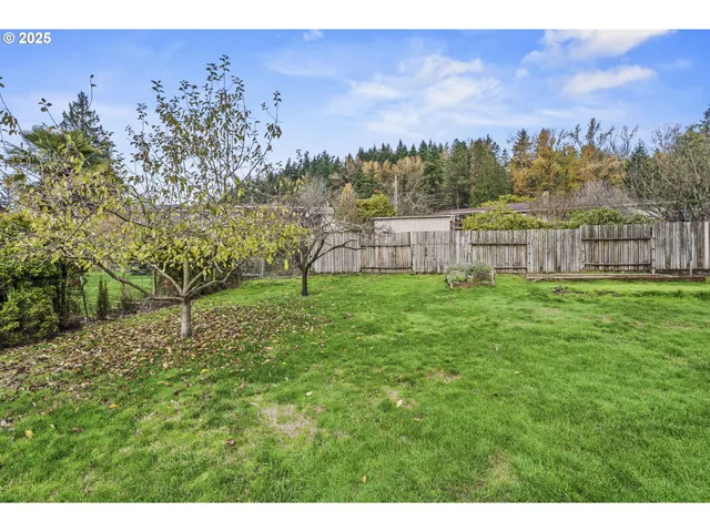 a backyard of a house with lots of green space