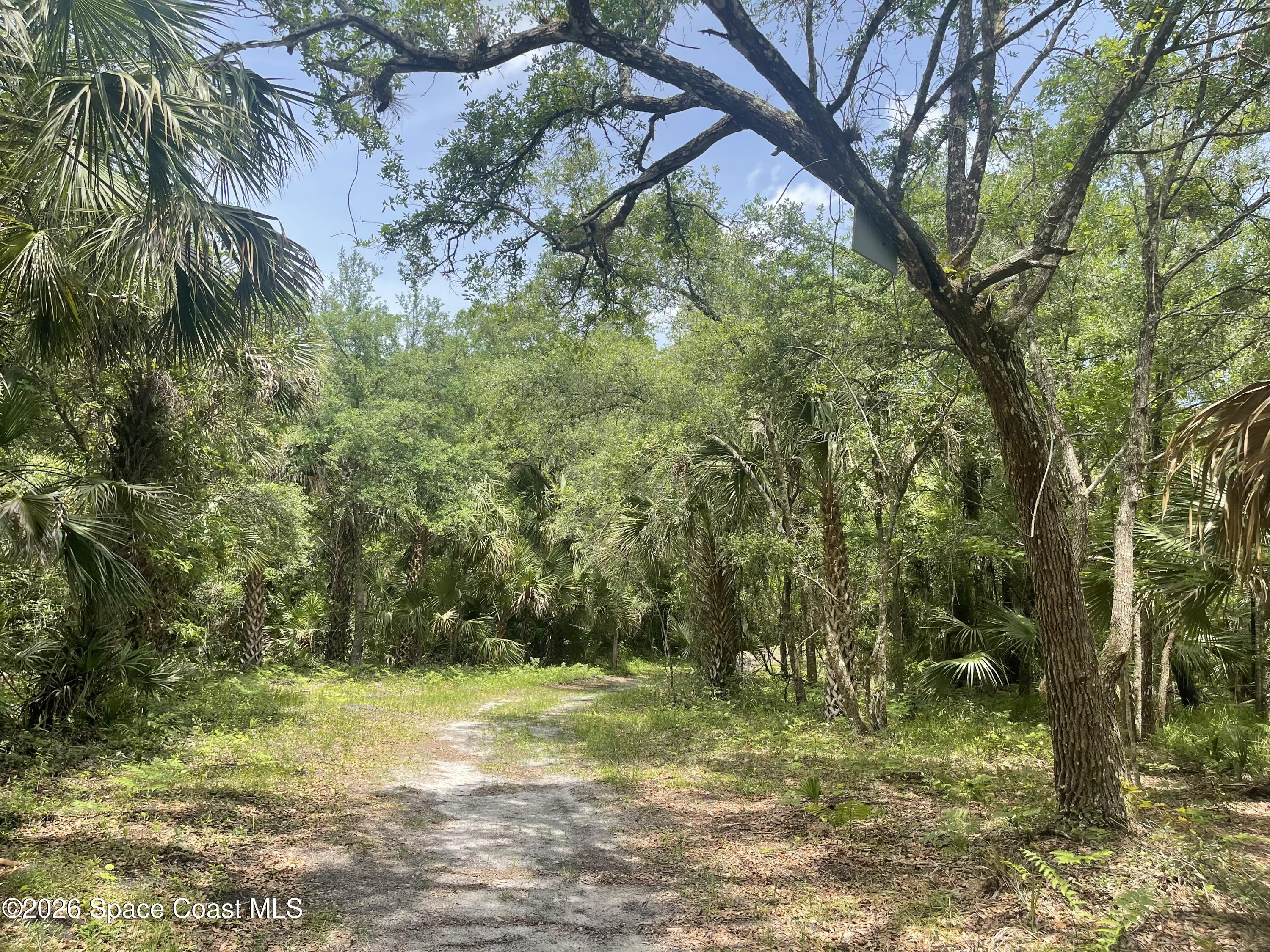 0 Harrison Road Mims, FL 32754 - Photo 2 of 12 a view of a yard