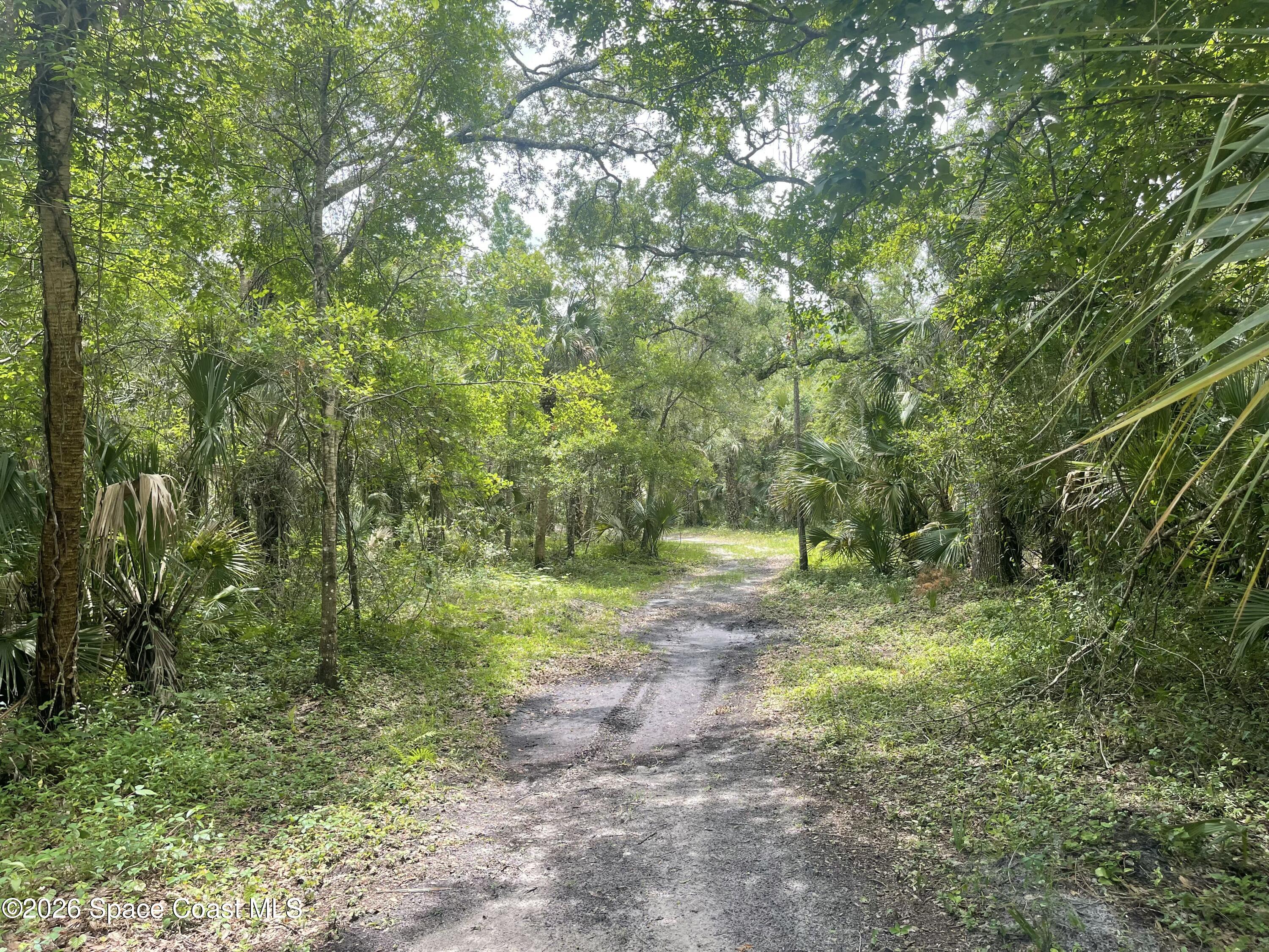 0 Harrison Road Mims, FL 32754 - Photo 3 of 12 a view of outdoor space and trees