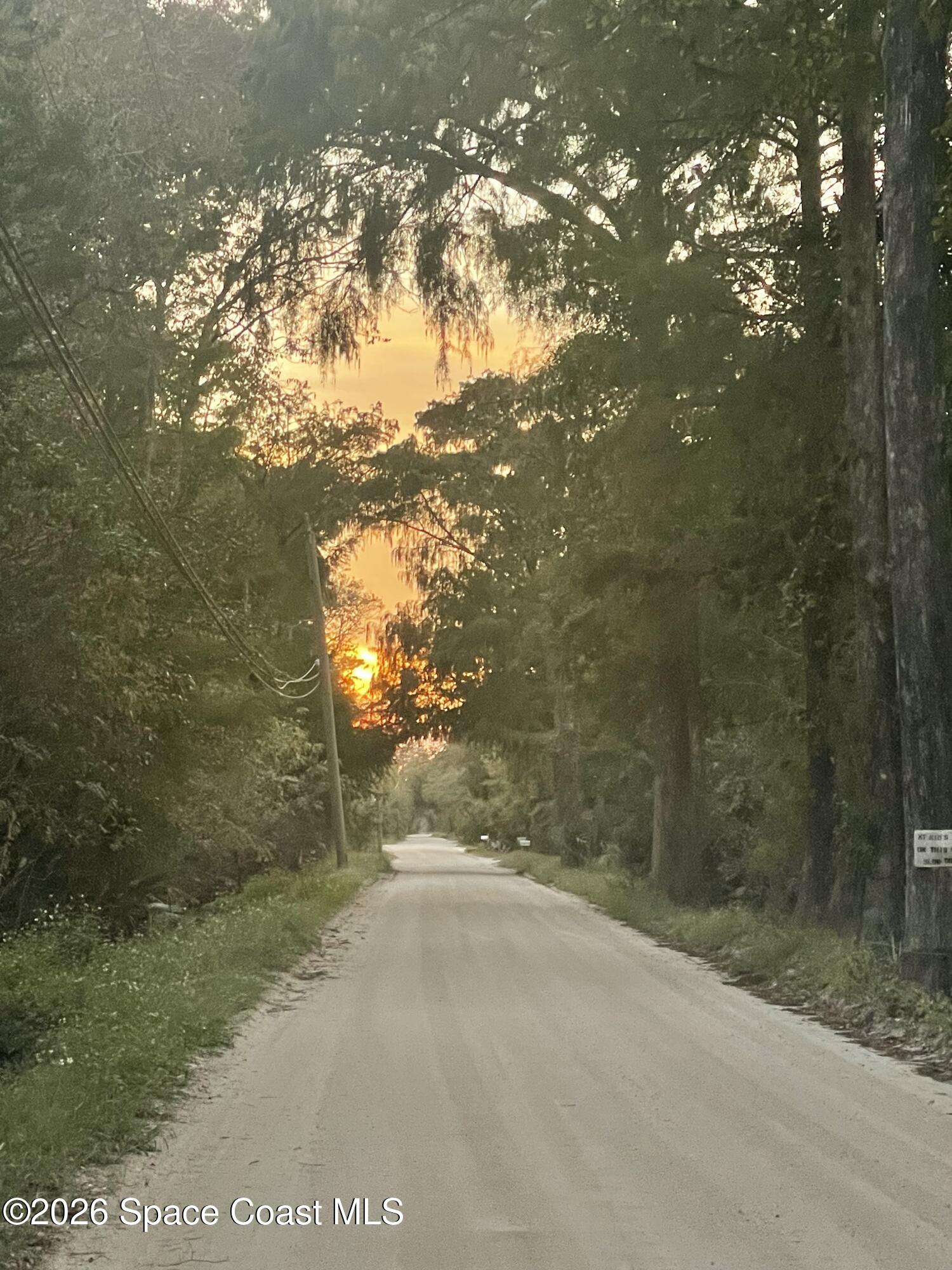 0 Harrison Road Mims, FL 32754 - Photo 8 of 12 a view of a tree in a yard
