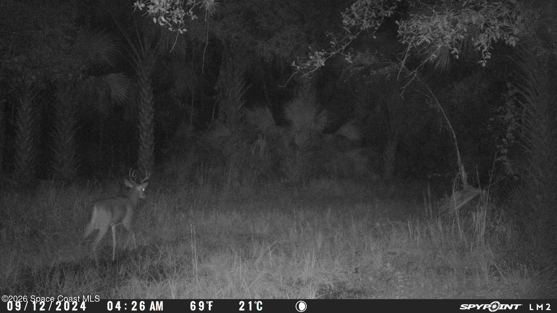 0 Harrison Road Mims, FL 32754 - Photo 10 of 12 a view of outdoor space and yard