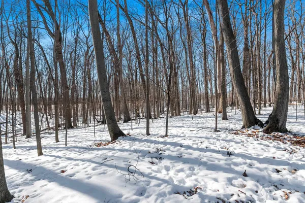 $864,900 | 4331 Pittco Road, Green Bay, WI 54313