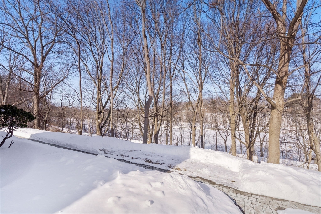 39 Charlesbank Road, Unit 39 Newton, MA 02458 - Photo 18 of 21