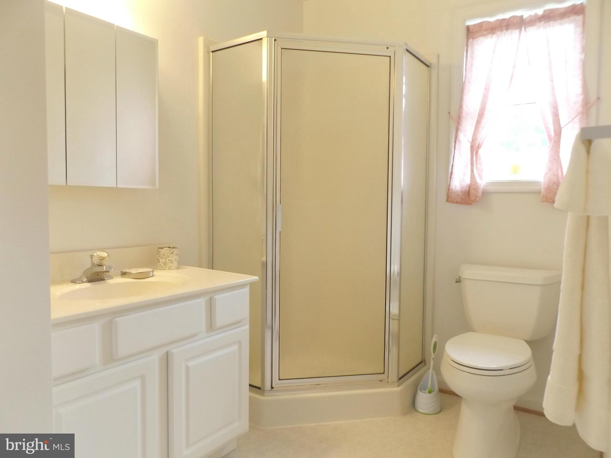 20444 Blue Ridge Mountain Road Paris, VA 20130 - Photo 12 of 28 Bath (Master)