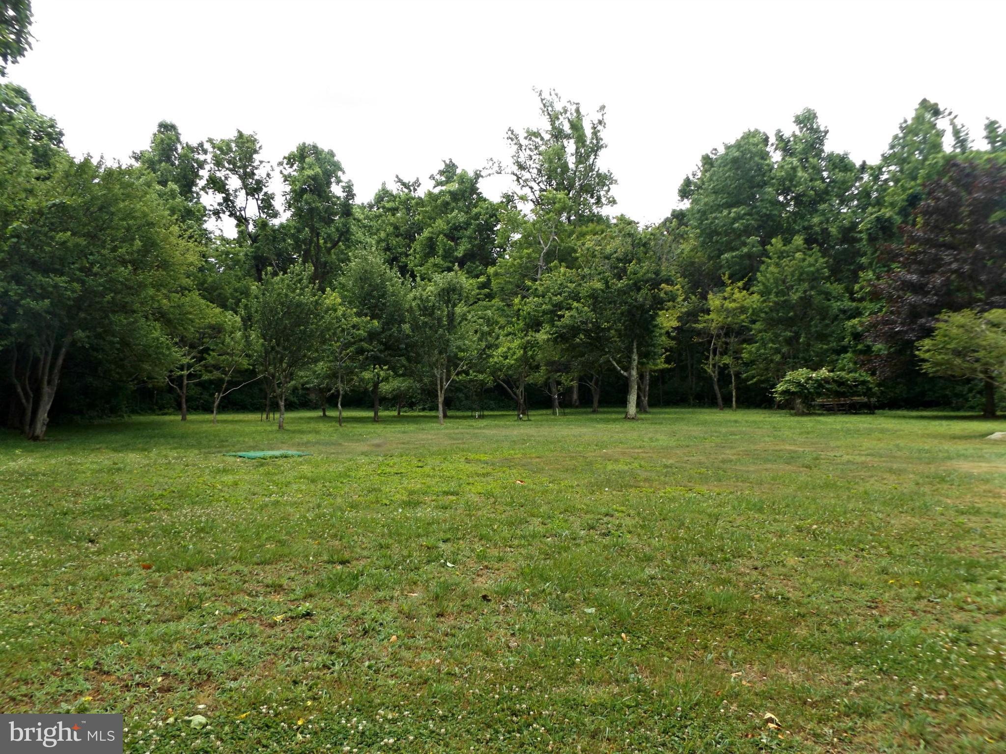 20444 Blue Ridge Mountain Road Paris, VA 20130 - Photo 23 of 28 Rear Yard