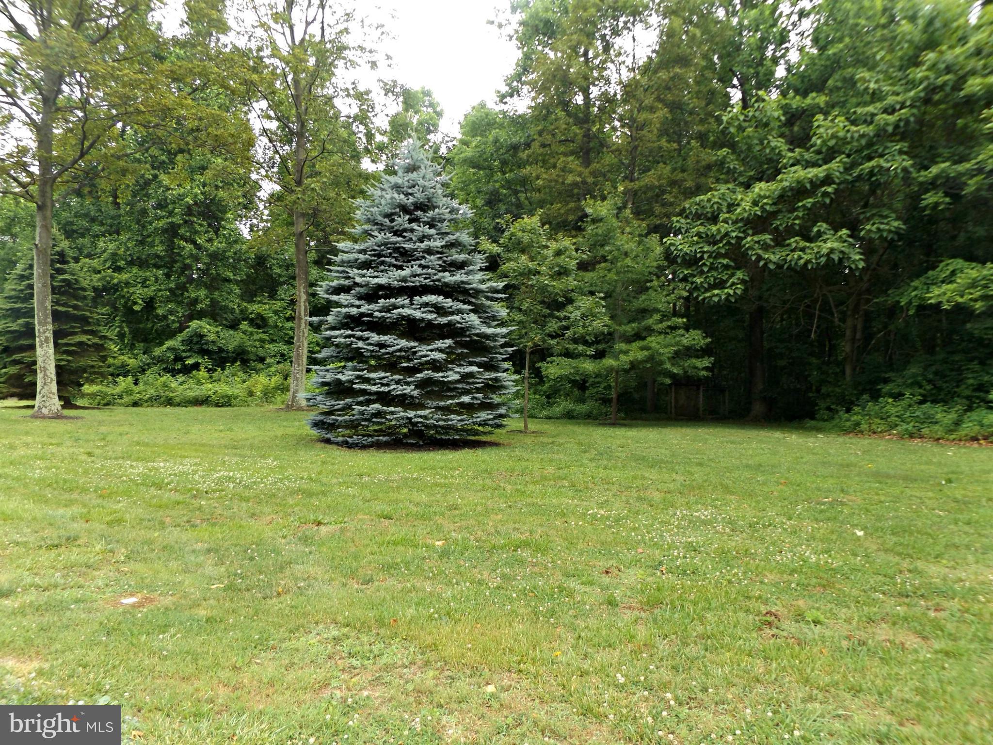 20444 Blue Ridge Mountain Road Paris, VA 20130 - Photo 24 of 28 Exterior (General)