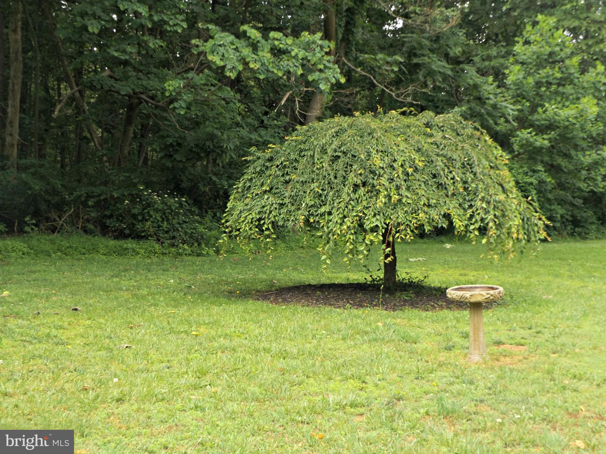 20444 Blue Ridge Mountain Road Paris, VA 20130 - Photo 25 of 28 Exterior (General)