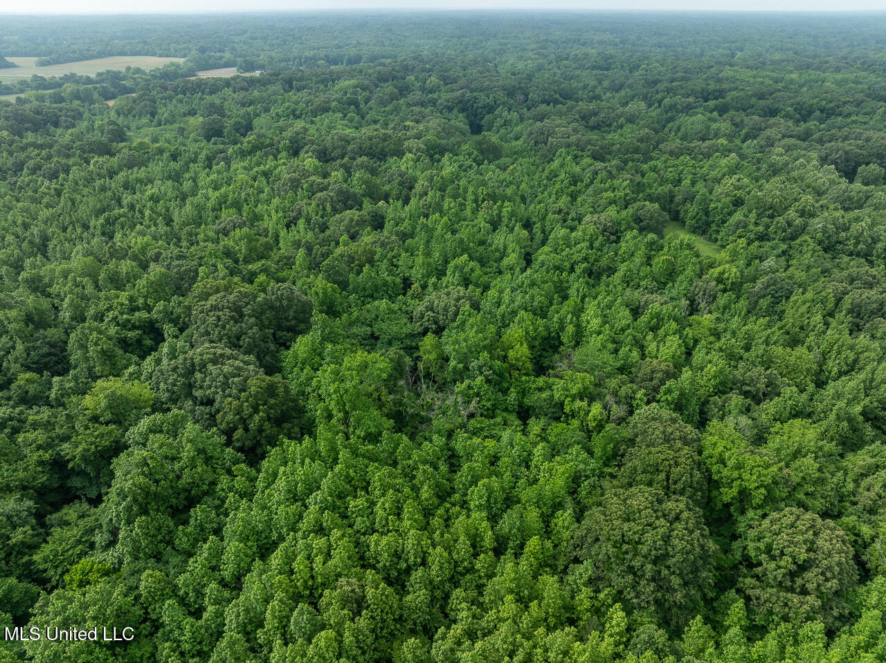 Church Road Lake Cormorant, MS 38641 - Photo 3 of 7 ChurchRdDrone-6-6