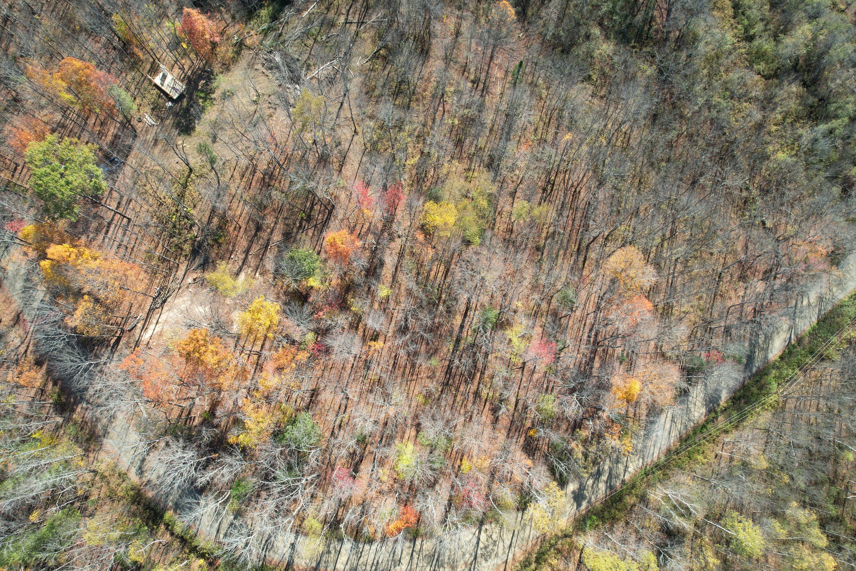 3 Center Hill Road Weld, ME 04285 - Photo 7 of 14 DJI_0269